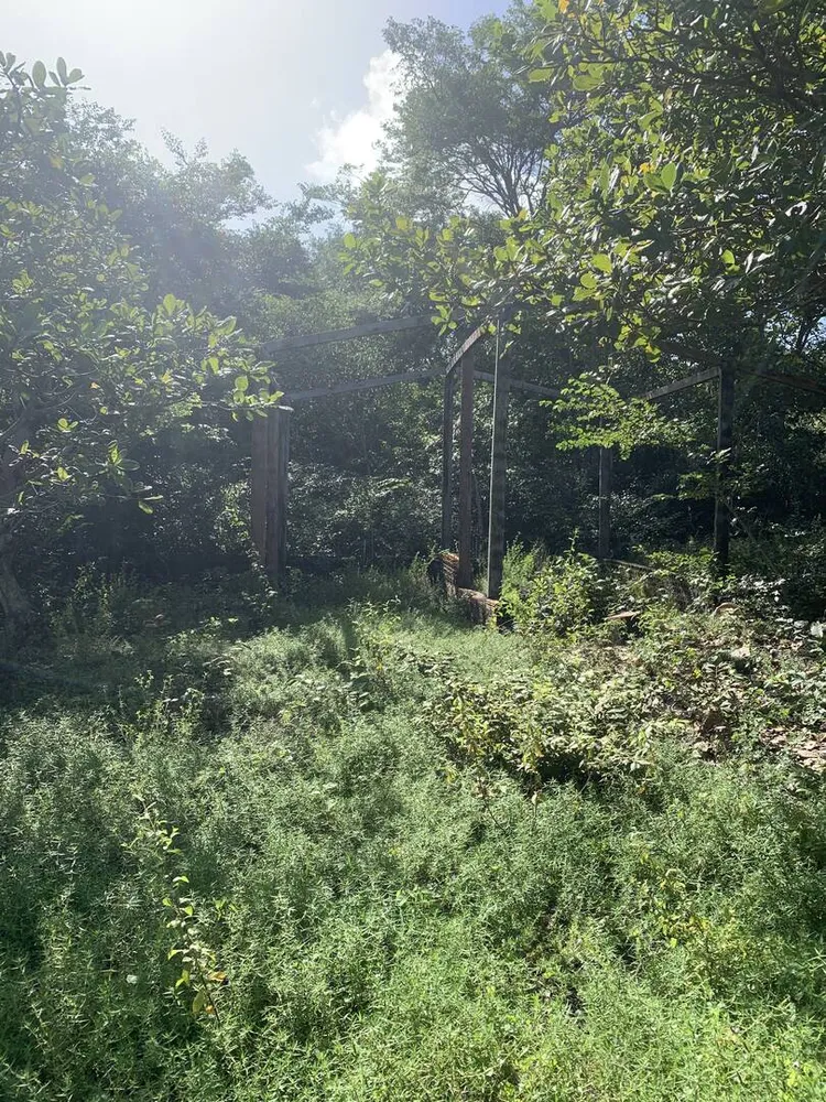 Terreno, 1000 m² - Foto 8
