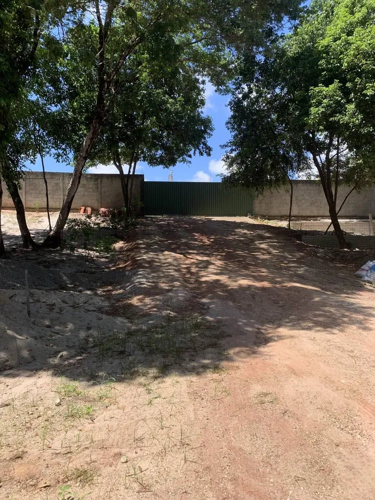 Terreno, 2924 m² - Foto 3