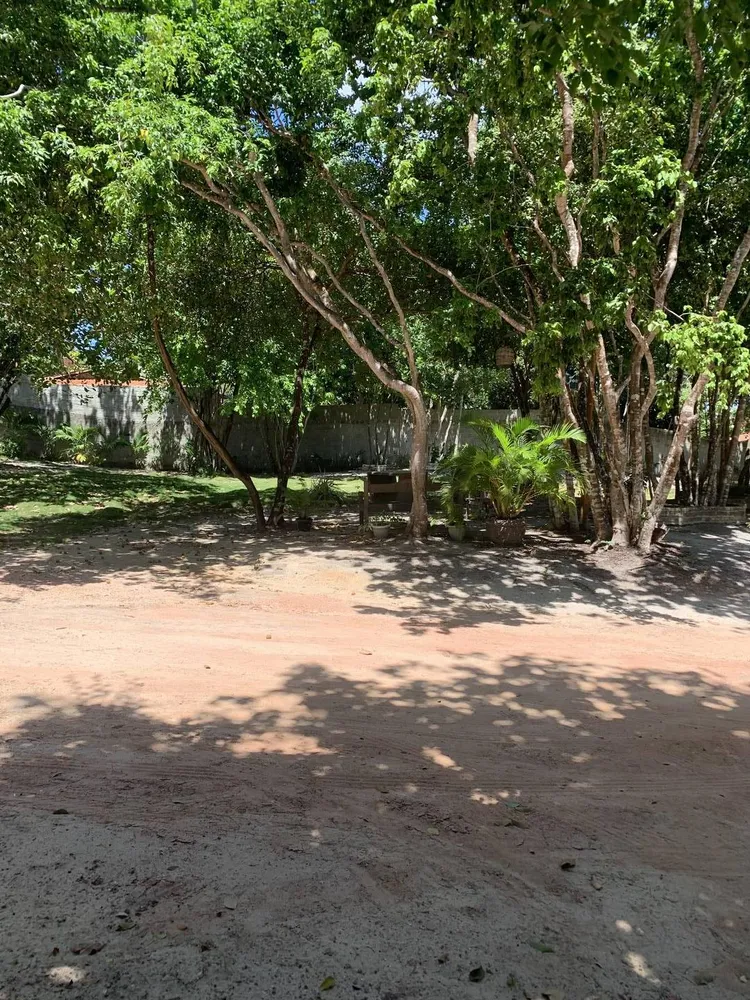 Terreno, 2924 m² - Foto 6