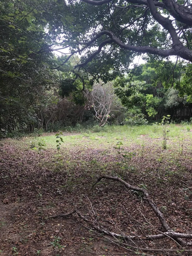 Terreno, 2 hectares - Foto 15