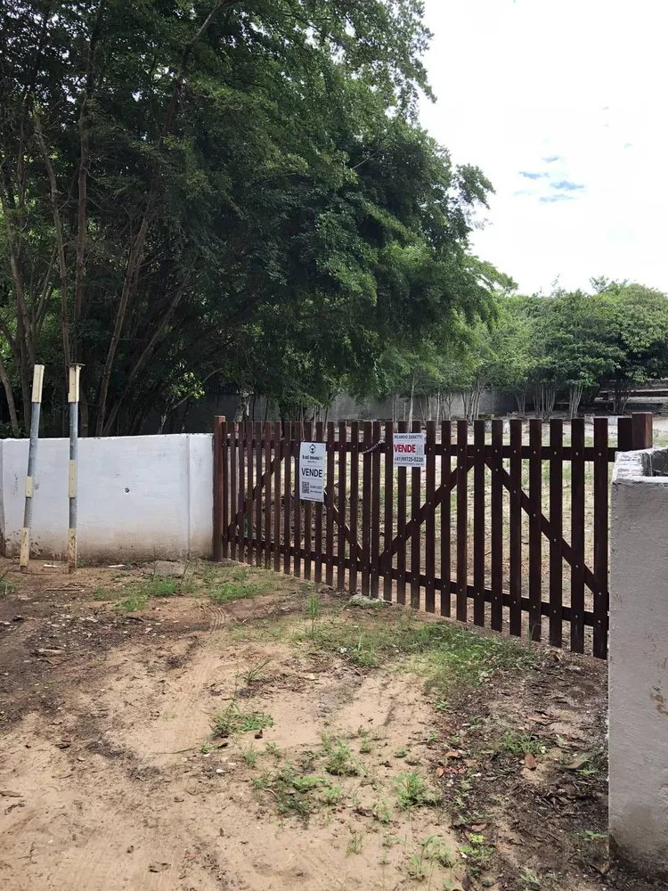 Terreno, 2 hectares - Foto 6