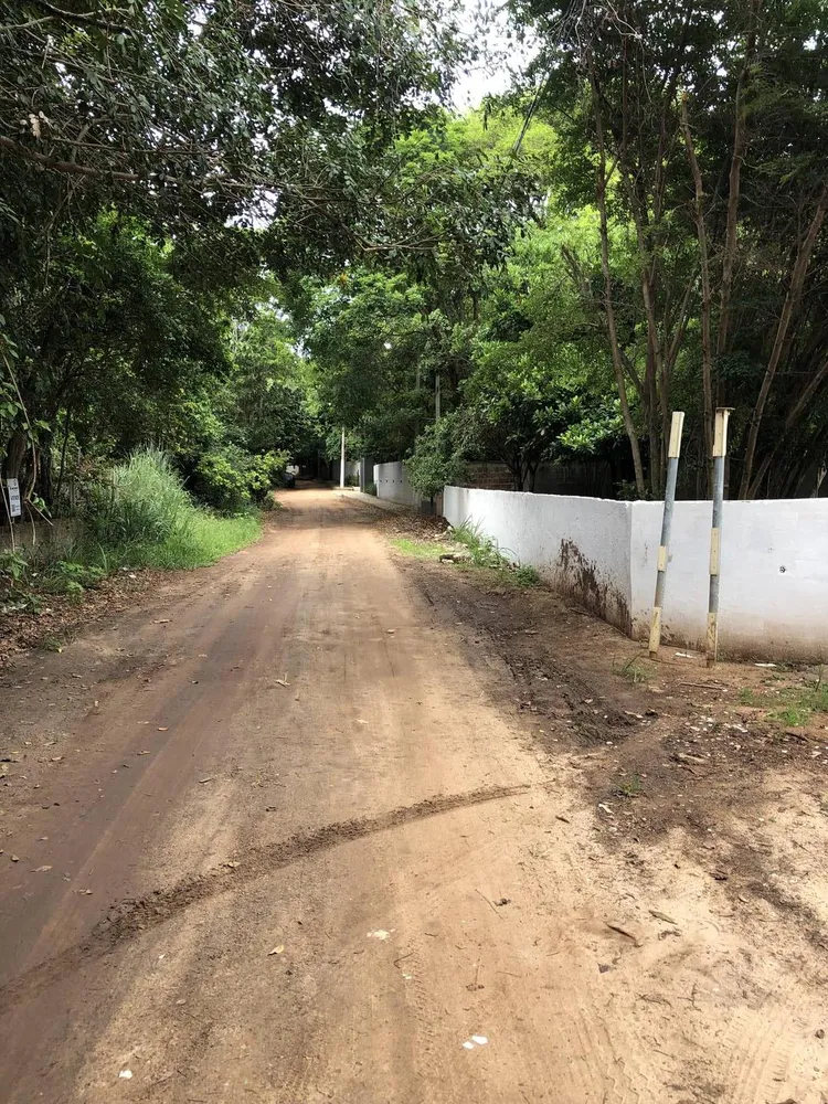 Terreno, 2 hectares - Foto 4