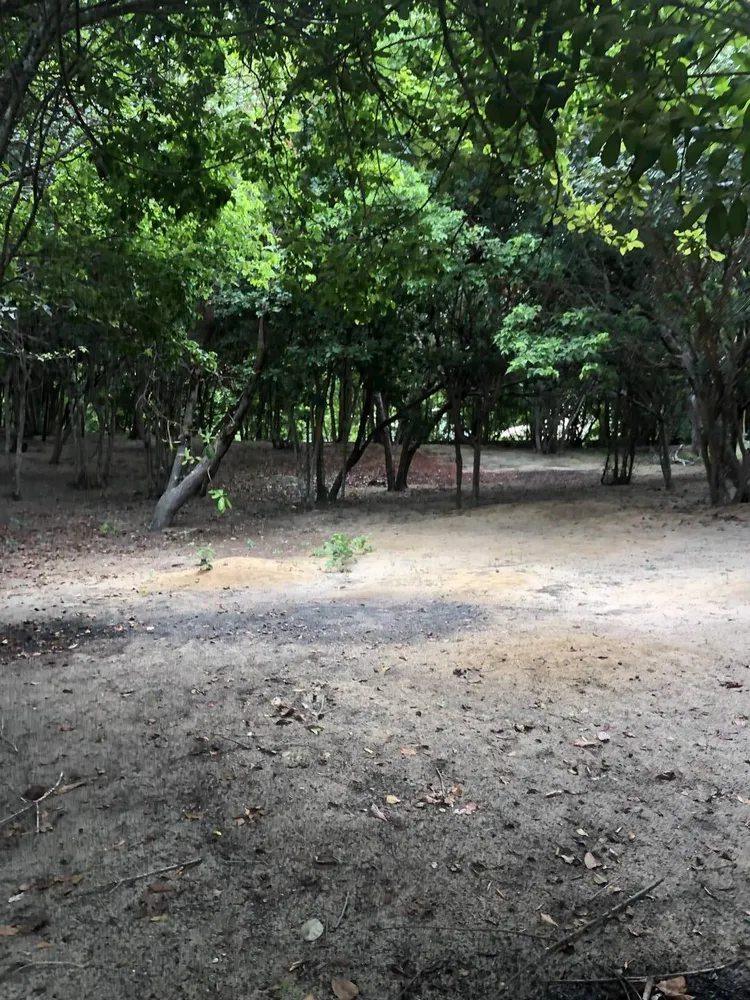Terreno, 2 hectares - Foto 1