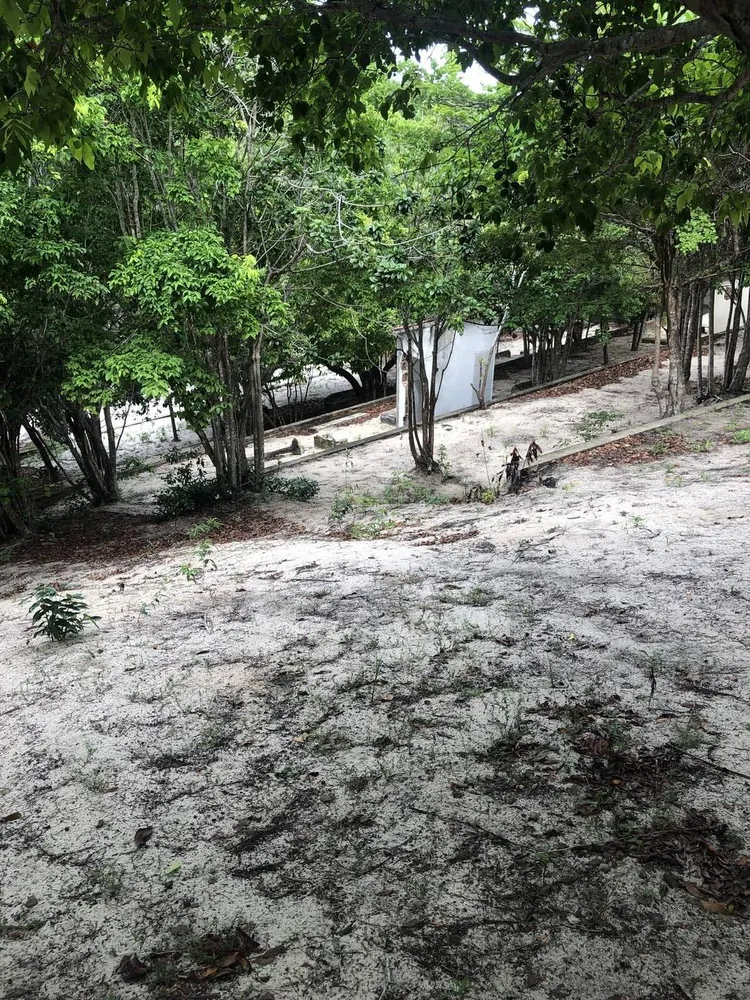 Terreno, 2 hectares - Foto 8