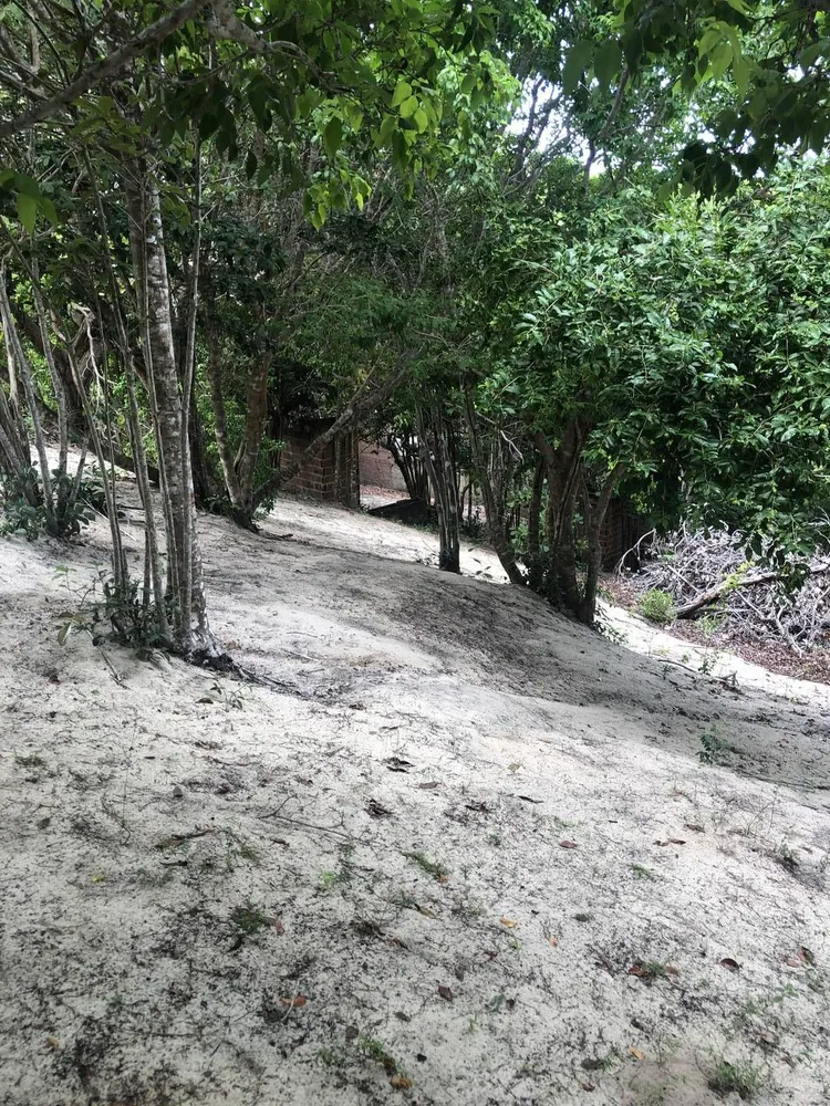 Terreno, 2 hectares - Foto 13