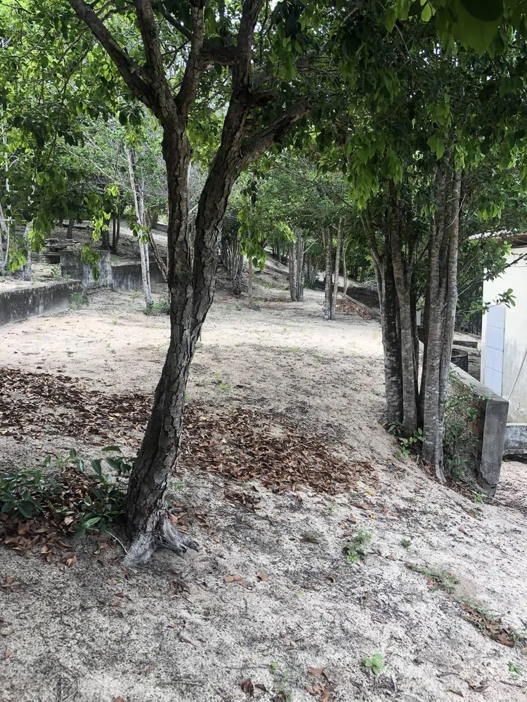 Terreno, 2 hectares - Foto 11