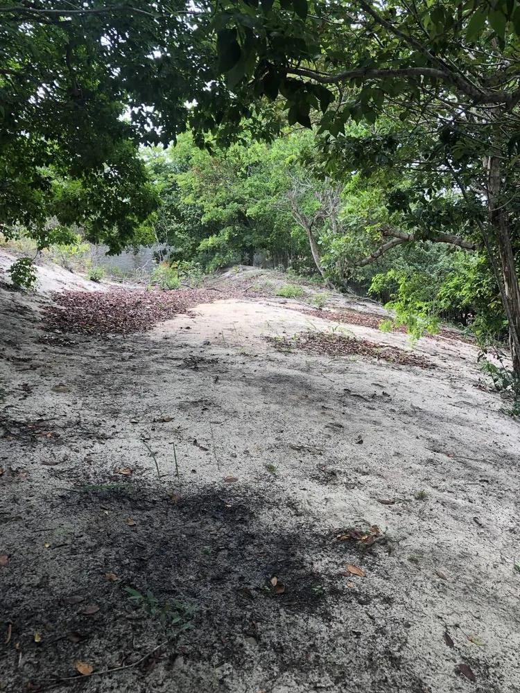 Terreno, 2 hectares - Foto 12