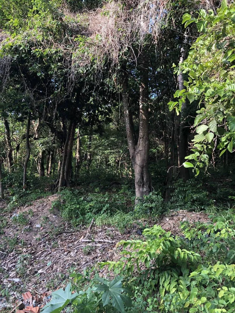 Terreno, 2660 m² - Foto 6