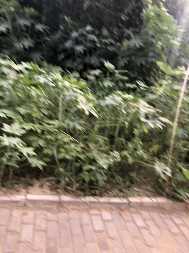 Terreno, 2660 m² - Foto 2