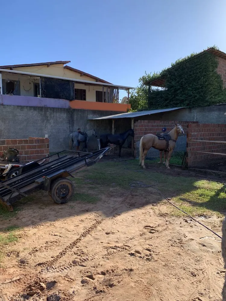 Terreno, 225 m² - Foto 11