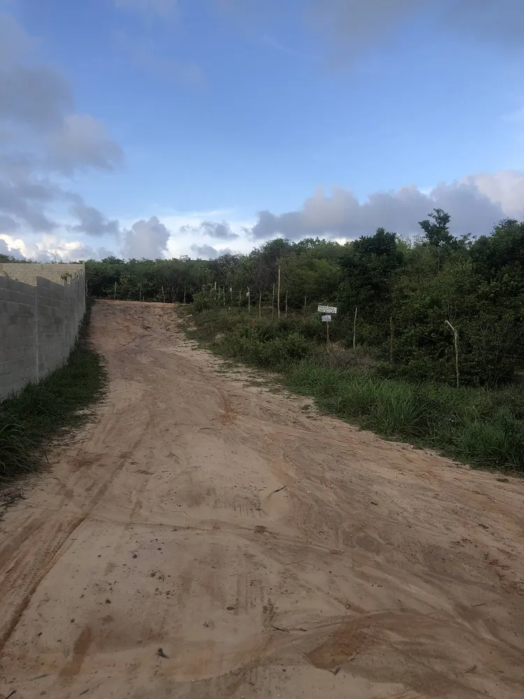 Terreno, 1000 m² - Foto 4