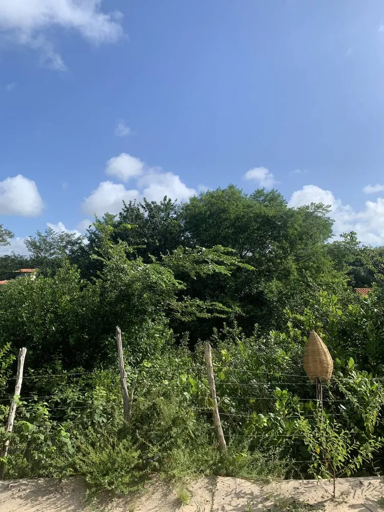 Terreno, 5558 m² - Foto 5