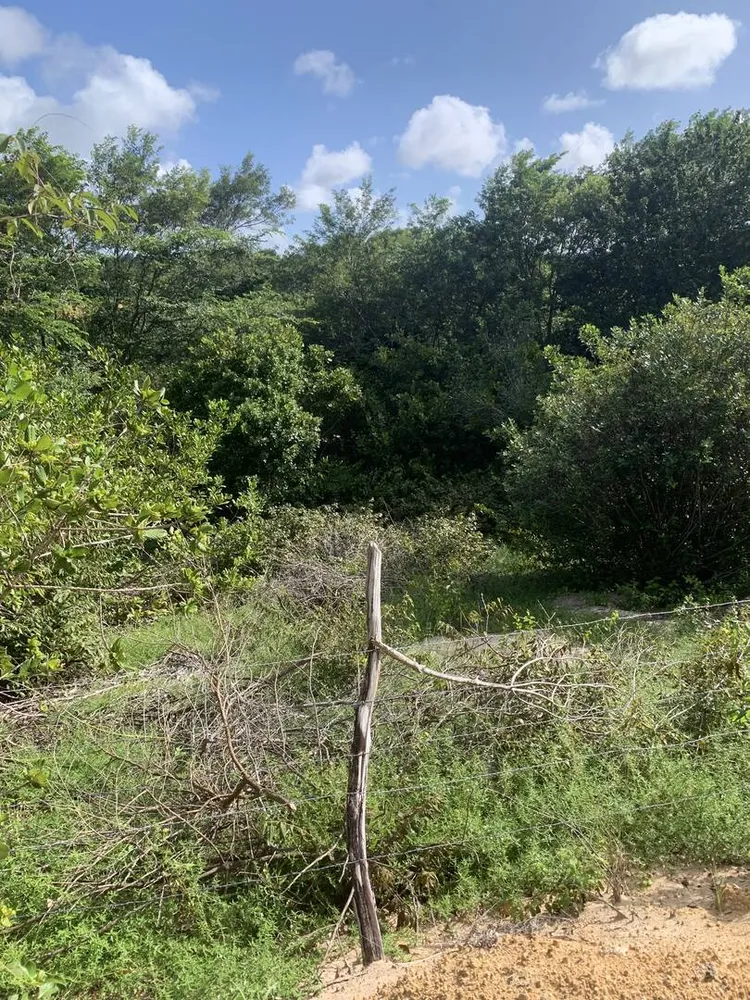 Terreno, 5558 m² - Foto 8