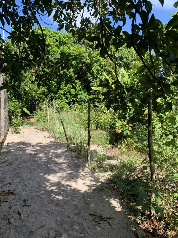 Terreno, 630 m² - Foto 2