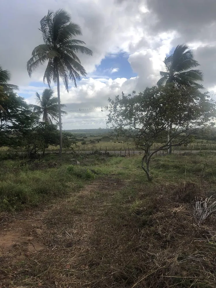 Terreno, 9 hectares - Foto 6
