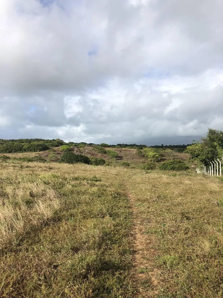 Terreno, 9 hectares - Foto 13