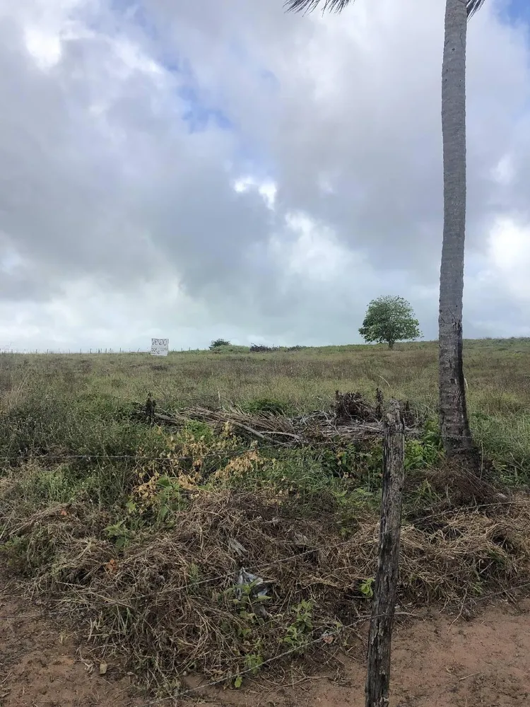 Terreno, 9 hectares - Foto 12
