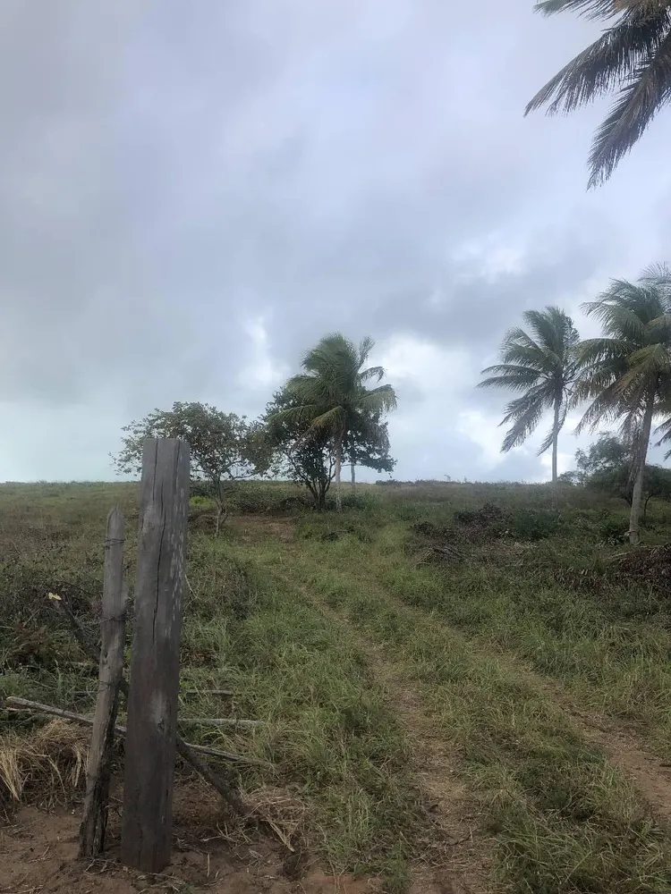 Terreno, 9 hectares - Foto 7