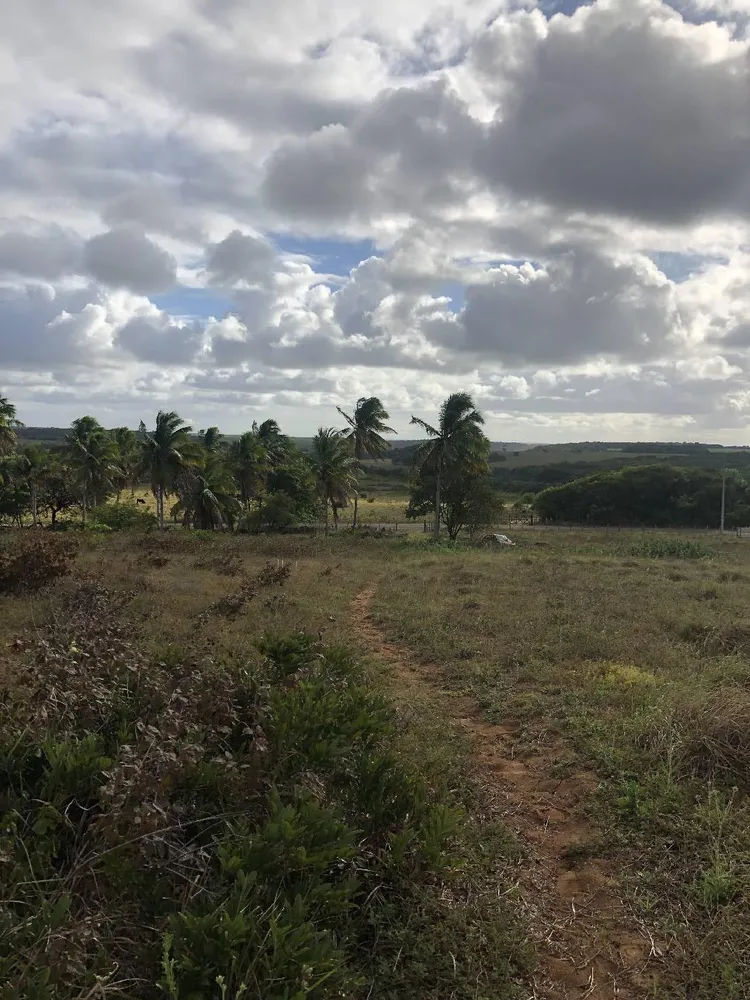 Terreno, 9 hectares - Foto 14