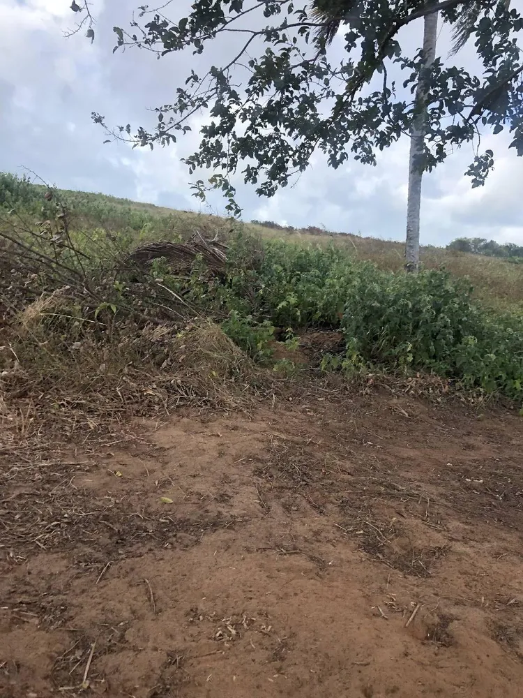 Terreno, 9 hectares - Foto 11