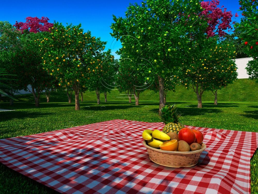 Apartamento, 2 quartos, 40 m² - Foto 1