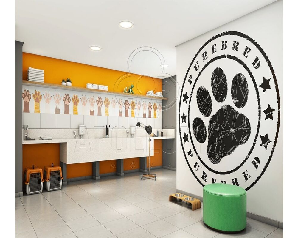 Apartamento, 2 quartos, 50 m² - Foto 12