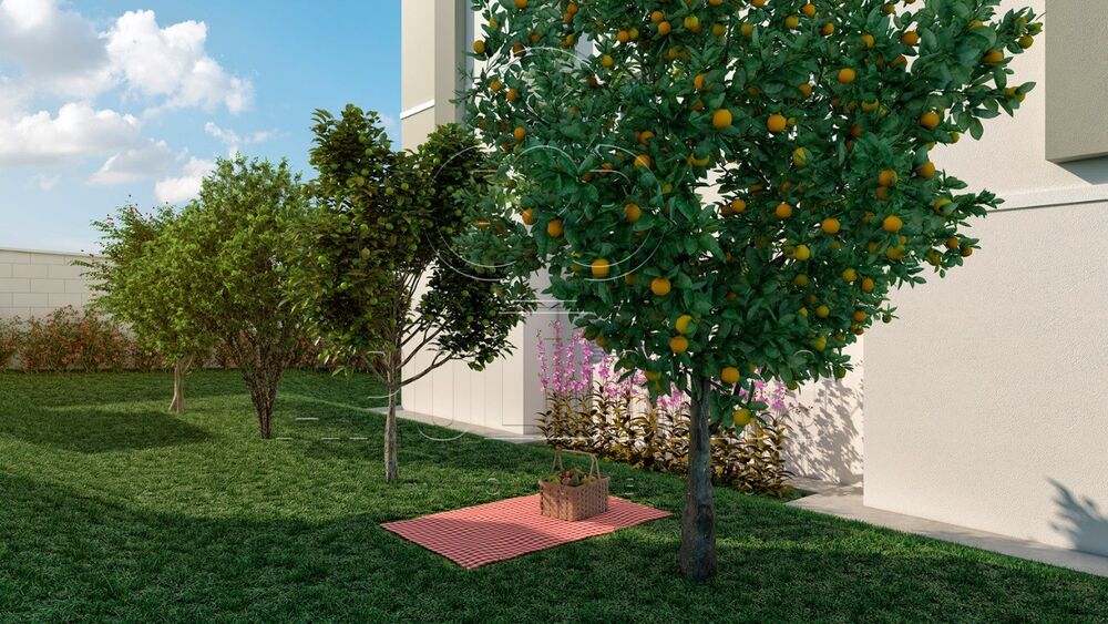 Apartamento, 2 quartos, 43 m² - Foto 3