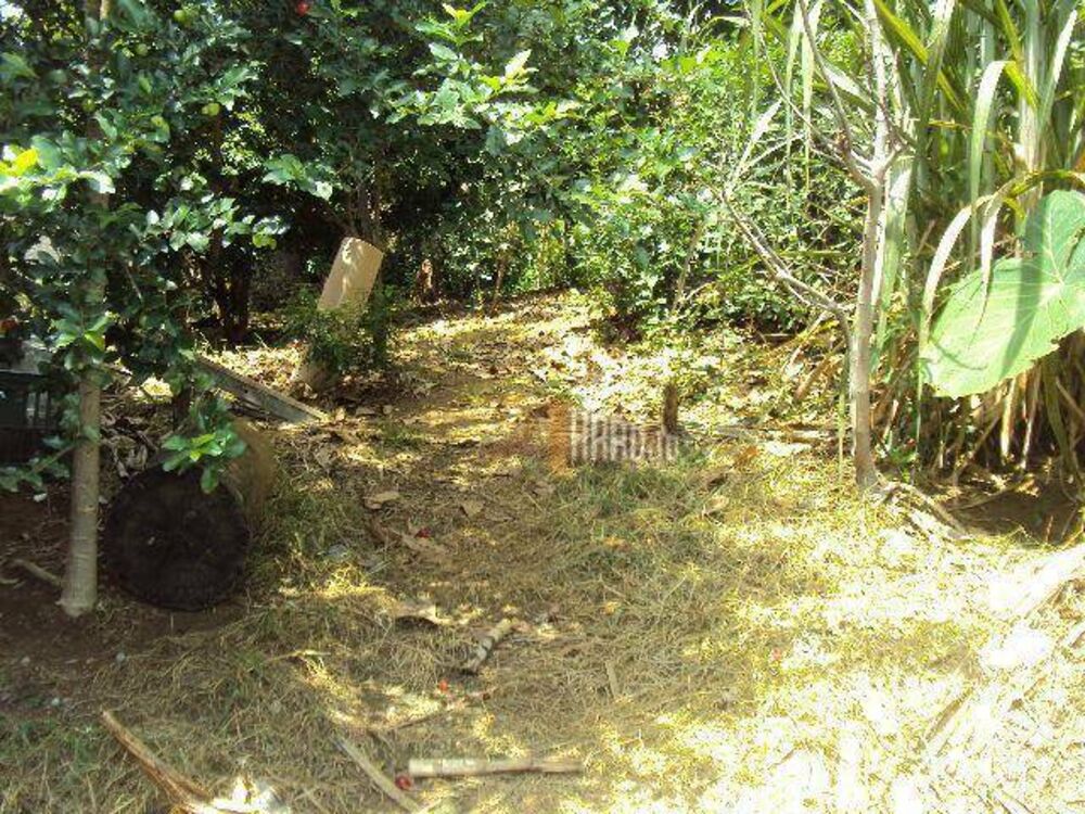 Terreno, 401 m² - Foto 1