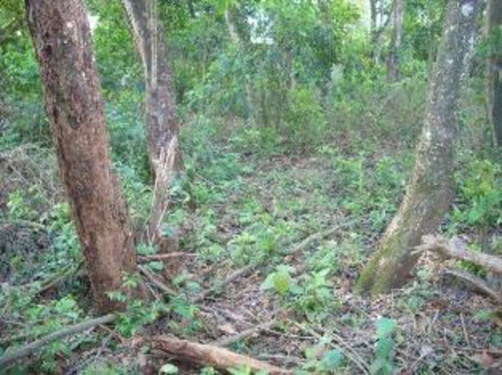 Terreno, 1902 m² - Foto 3