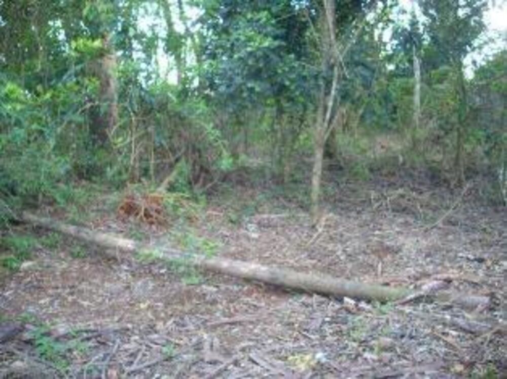 Terreno, 1902 m² - Foto 2