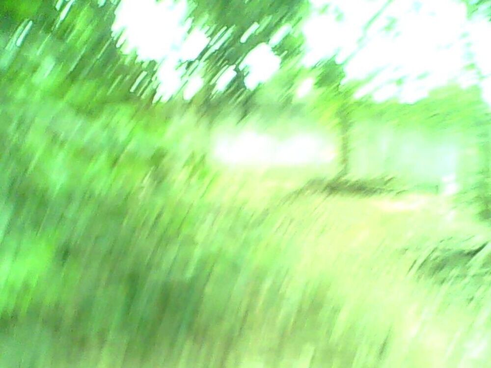 Terreno, 1902 m² - Foto 5