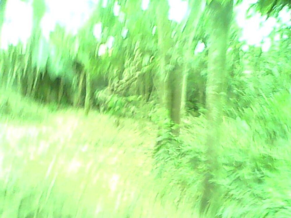 Terreno, 1902 m² - Foto 6