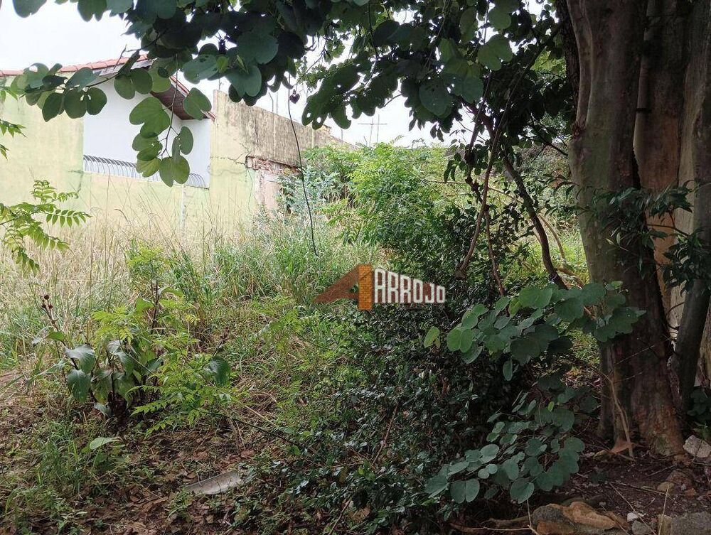Terreno, 256 m² - Foto 3