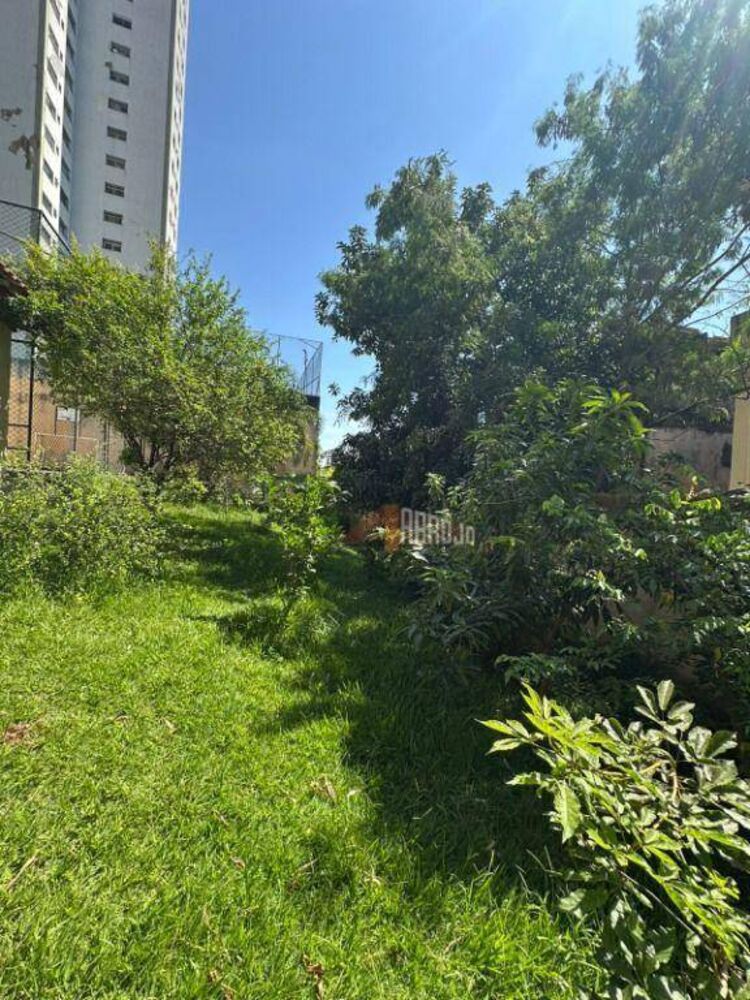 Apartamento, 3 quartos, 60 m² - Foto 2