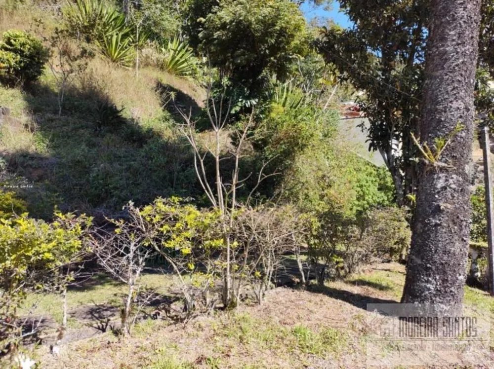 Casa, 4 quartos, 3200 m² - Foto 7