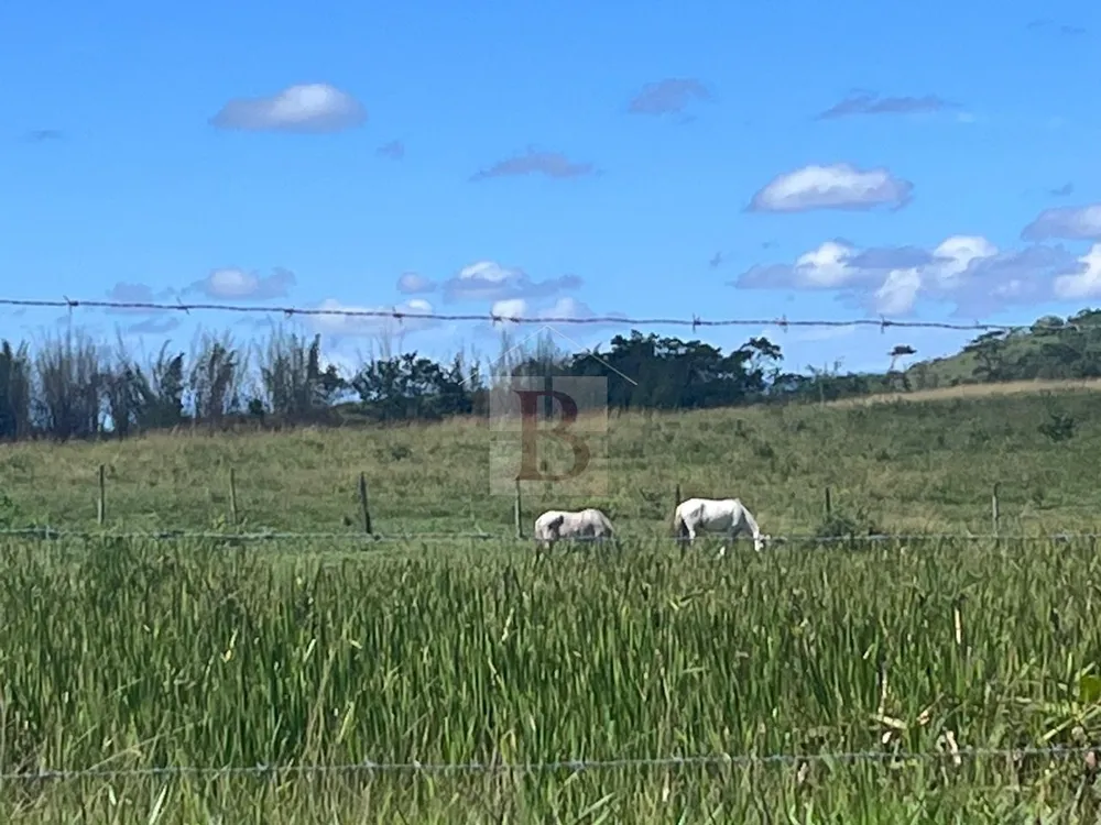 Fazenda, 252 hectares - Foto 27