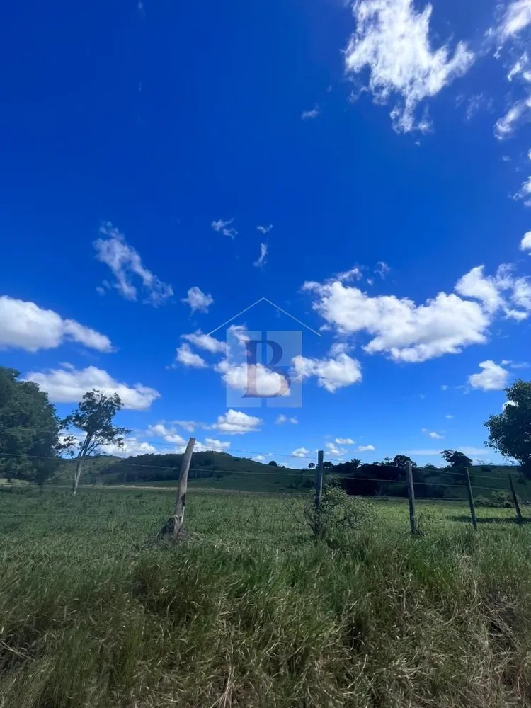 Fazenda, 252 hectares - Foto 17