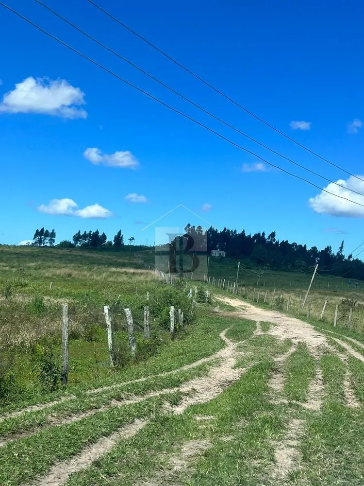 Fazenda, 252 hectares - Foto 28