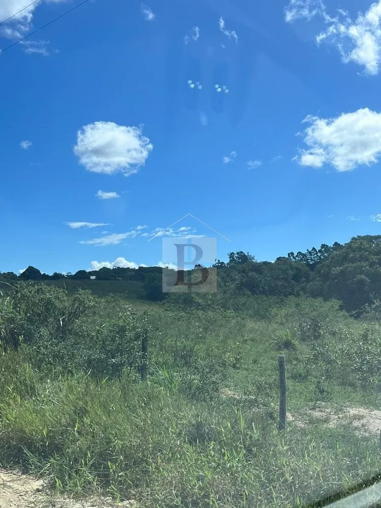 Fazenda, 252 hectares - Foto 19