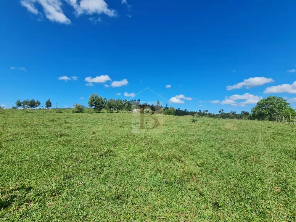 Fazenda, 252 hectares - Foto 43