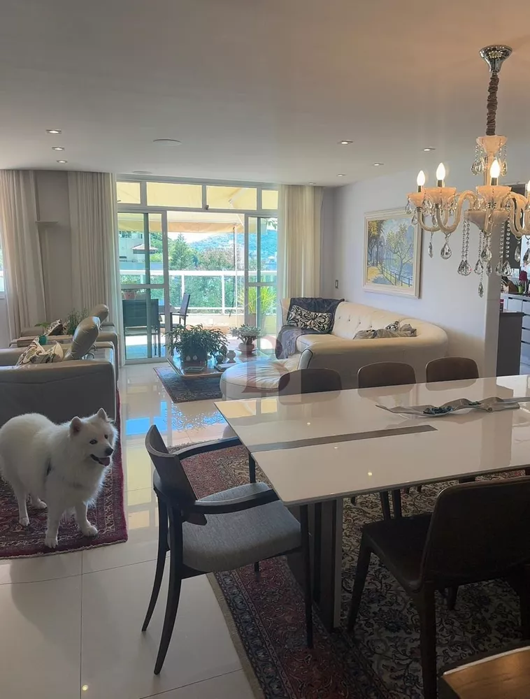 Cobertura, 4 quartos, 250 m² - Foto 5