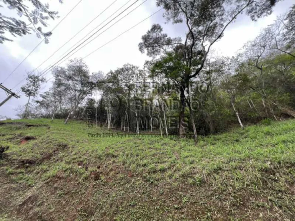 Terreno, 1855 m² - Foto 5