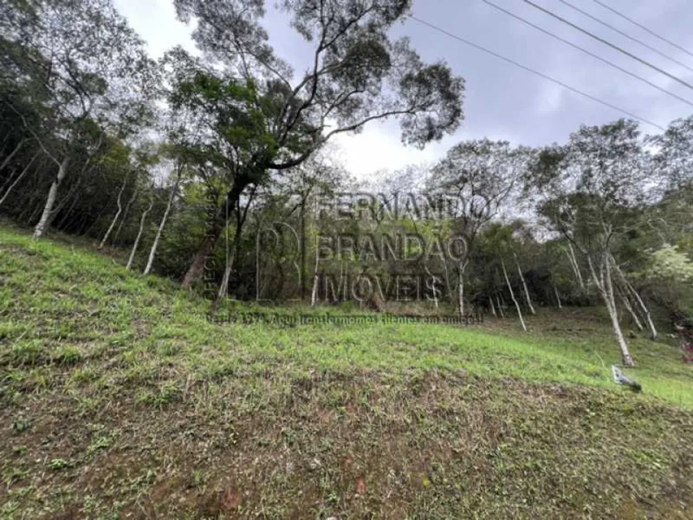 Terreno, 1855 m² - Foto 6