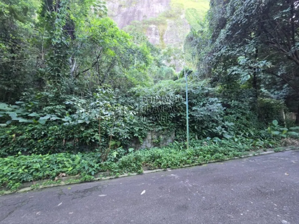 Terreno, 1175 m² - Foto 3