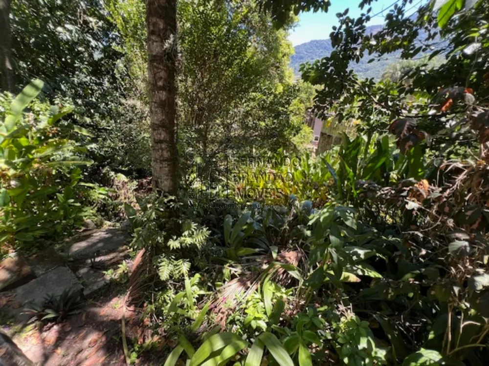 Casa, 3 quartos, 274 m² - Foto 20