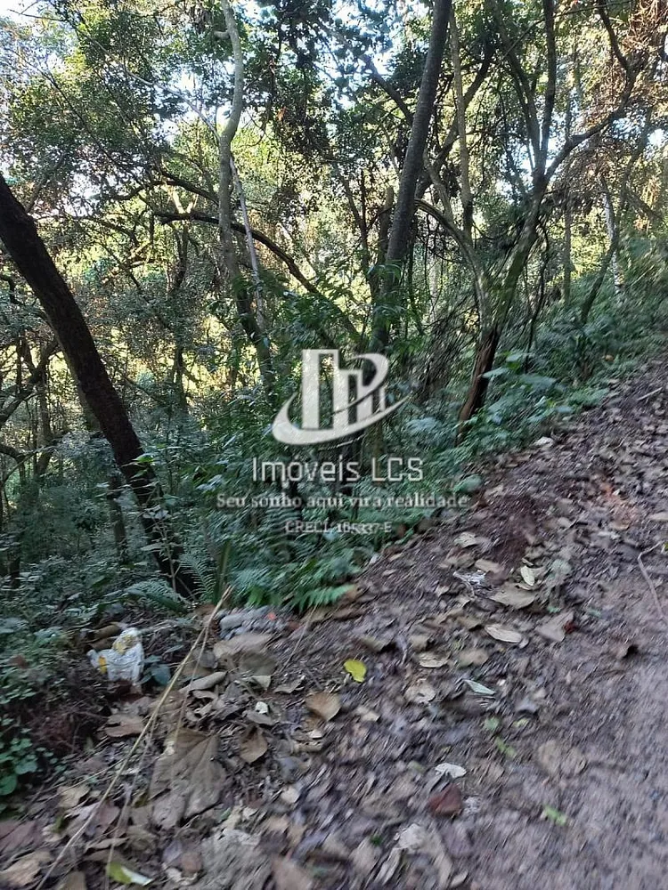 Terreno, 9400 m² - Foto 8