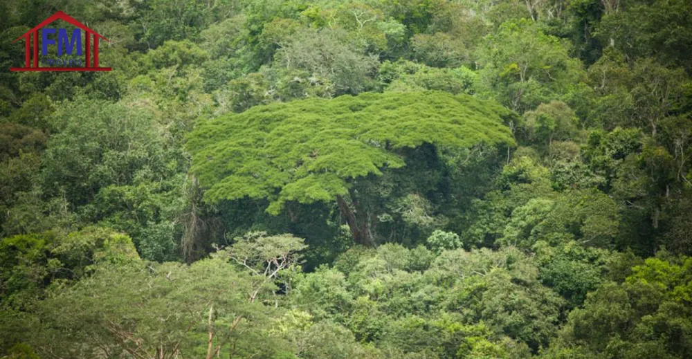 Fazenda - Foto 3