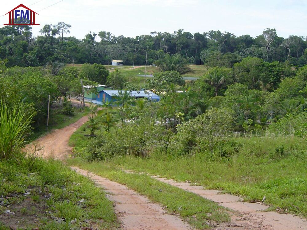 Sítio à venda - Foto 2