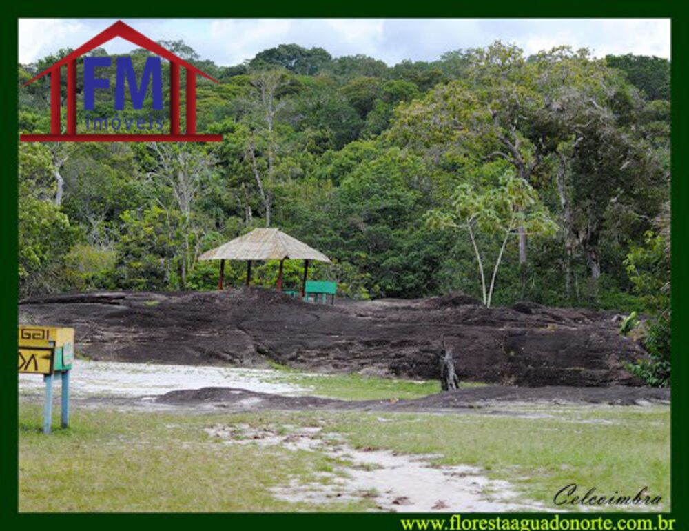 Fazenda à venda - Foto 4