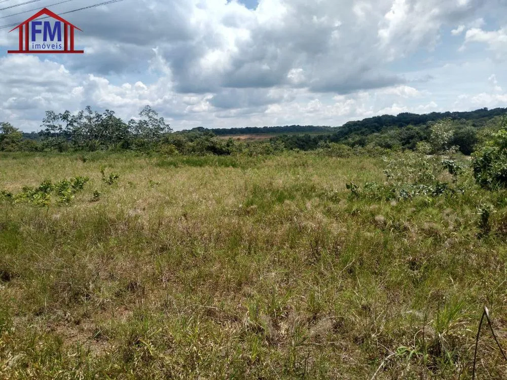 Fazenda - Foto 4